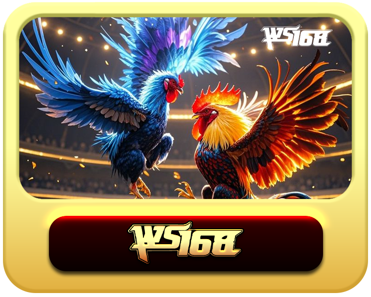 WS168